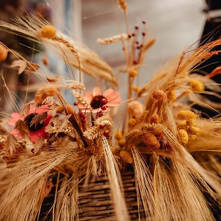 Strieborny Dvor Daire *