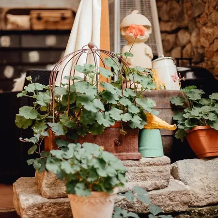 Strieborny Dvor 公寓