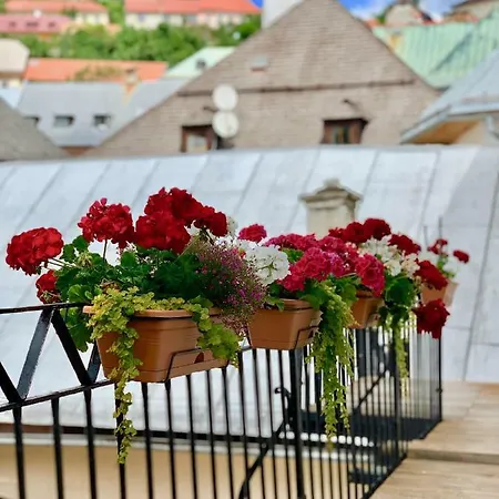 Strieborny Dvor * Banská Štiavnica